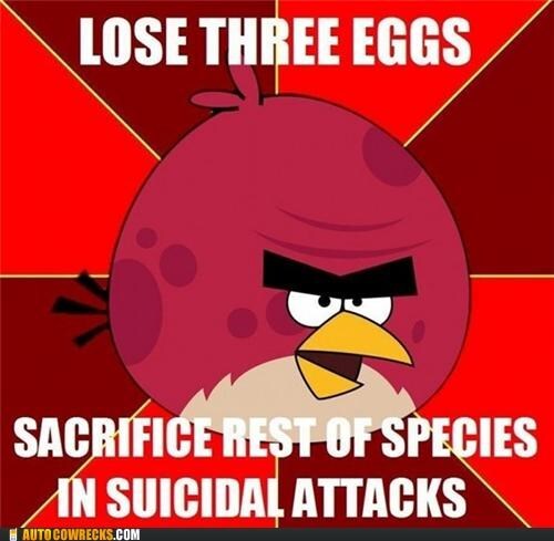 Angry Birds Meme